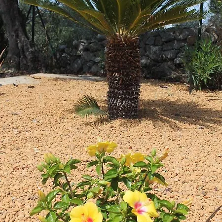 Santa Barbara By Portucasa *